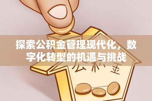 柳州探索公积金管理现代化，数字化转型的机遇与挑战