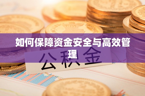 柳州如何保障资金安全与高效管理