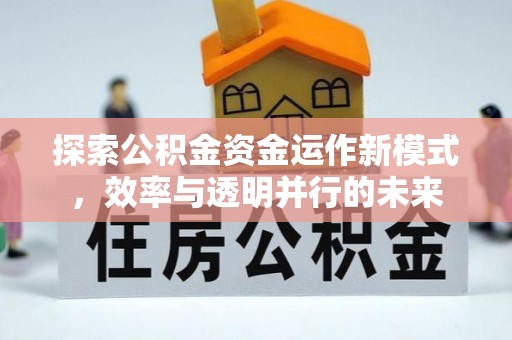 柳州探索公积金资金运作新模式，效率与透明并行的未来