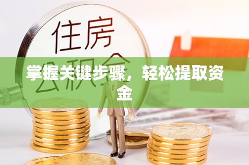 柳州掌握关键步骤，轻松提取资金