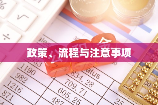柳州政策、流程与注意事项