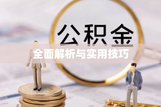 柳州全面解析与实用技巧