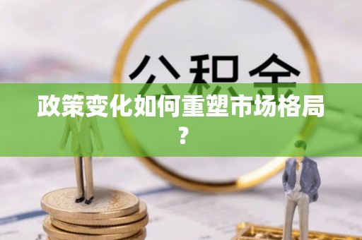 柳州政策变化如何重塑市场格局？