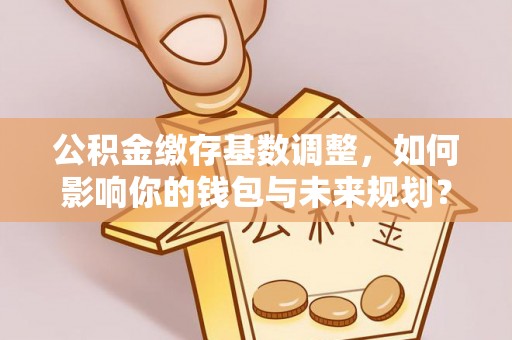 柳州公积金缴存基数调整，如何影响你的钱包与未来规划？