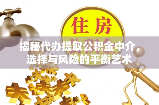 柳州揭秘代办提取公积金中介，选择与风险的平衡艺术