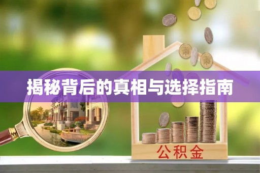 柳州揭秘背后的真相与选择指南