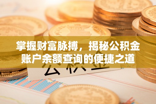 柳州掌握财富脉搏，揭秘公积金账户余额查询的便捷之道