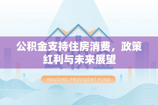 柳州公积金支持住房消费，政策红利与未来展望
