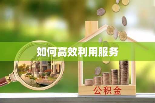 柳州如何高效利用服务