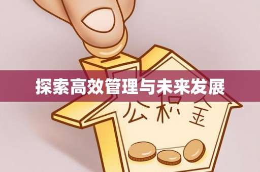 柳州探索高效管理与未来发展
