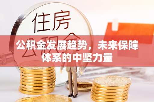 柳州公积金发展趋势，未来保障体系的中坚力量