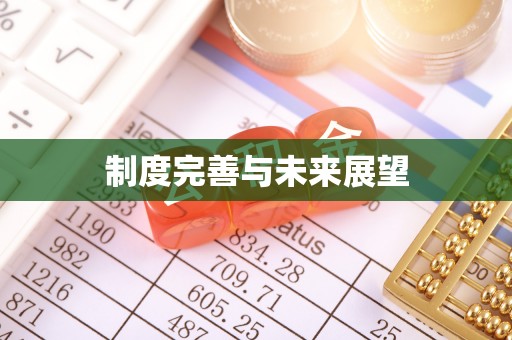柳州制度完善与未来展望