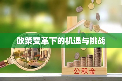 柳州政策变革下的机遇与挑战
