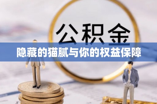 柳州隐藏的猫腻与你的权益保障