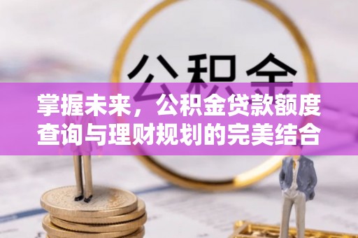 柳州掌握未来，公积金贷款额度查询与理财规划的完美结合