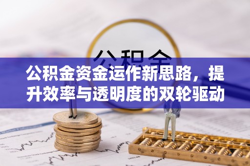 柳州公积金资金运作新思路，提升效率与透明度的双轮驱动