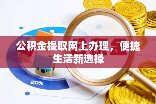 柳州公积金提取网上办理，便捷生活新选择