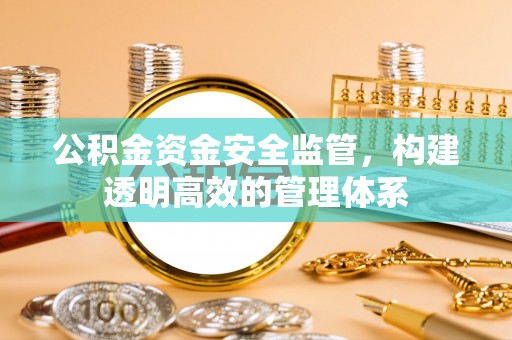 柳州公积金资金安全监管，构建透明高效的管理体系