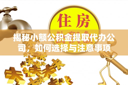 柳州揭秘小额公积金提取代办公司，如何选择与注意事项