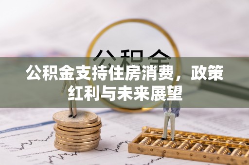 柳州公积金支持住房消费，政策红利与未来展望