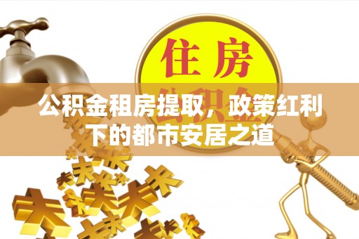 柳州公积金租房提取，政策红利下的都市安居之道