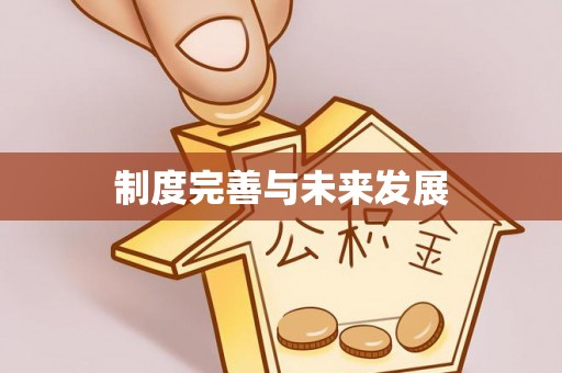 柳州制度完善与未来发展