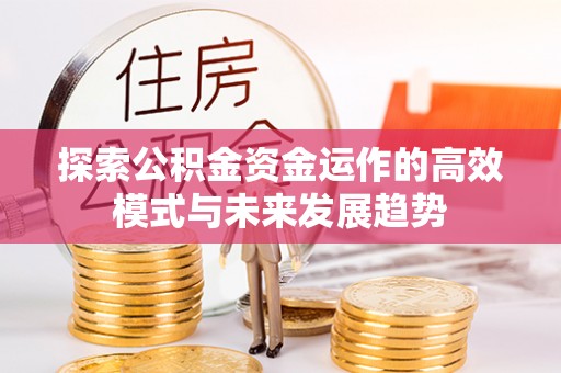 柳州探索公积金资金运作的高效模式与未来发展趋势