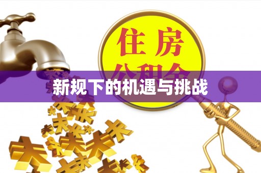 柳州新规下的机遇与挑战