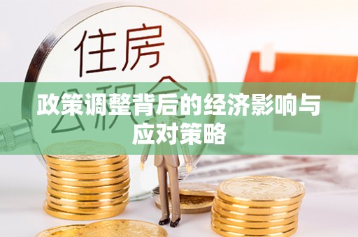 柳州政策调整背后的经济影响与应对策略