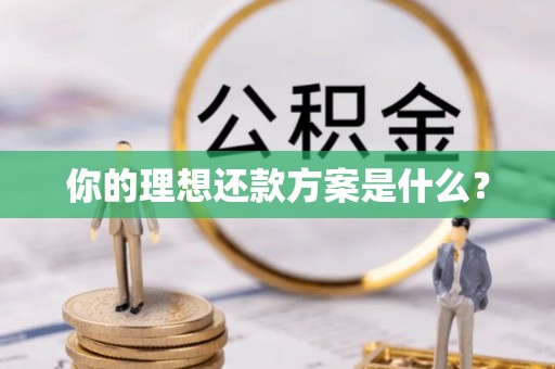 柳州你的理想还款方案是什么？