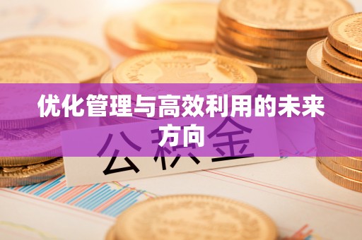 柳州优化管理与高效利用的未来方向