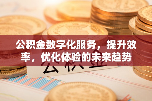 柳州公积金数字化服务，提升效率，优化体验的未来趋势