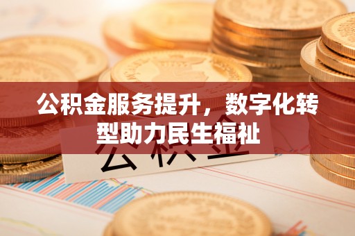 柳州公积金服务提升，数字化转型助力民生福祉