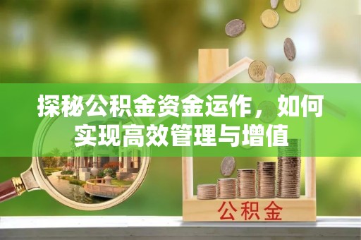 柳州探秘公积金资金运作，如何实现高效管理与增值