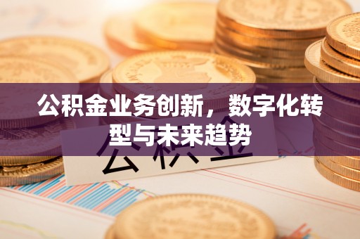 柳州公积金业务创新，数字化转型与未来趋势