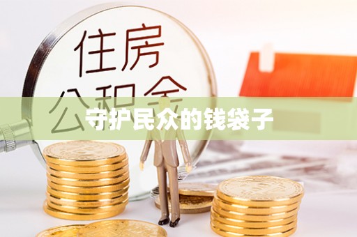 柳州守护民众的钱袋子
