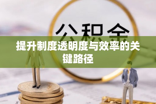 柳州提升制度透明度与效率的关键路径