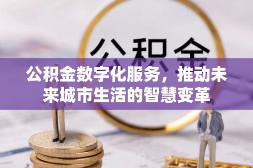 柳州公积金数字化服务，推动未来城市生活的智慧变革