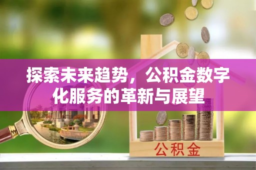 柳州探索未来趋势，公积金数字化服务的革新与展望