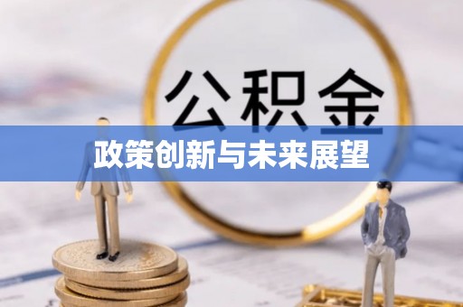柳州政策创新与未来展望